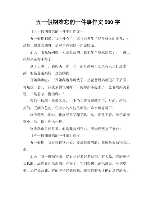 五一假期难忘的一件事作文500字