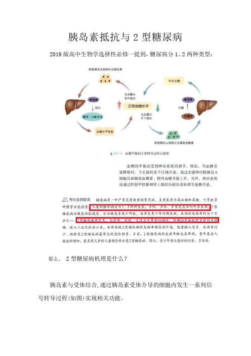 备课素材：胰岛素抵抗与2型糖尿病-2023学年高二上学期生物人教版选择性必修1