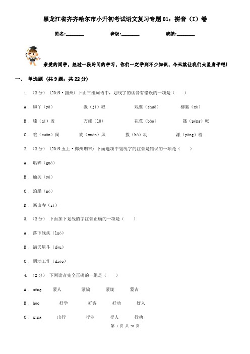 黑龙江省齐齐哈尔市小升初考试语文复习专题01：拼音(I)卷