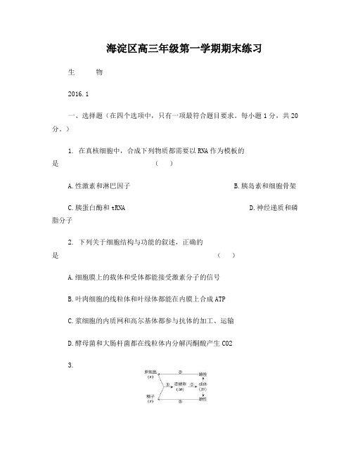 2016年海淀区高三上期末生物