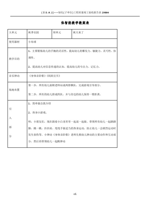 体智能教学教案表