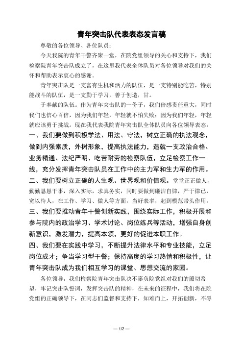 青年突击队代表表态发言稿