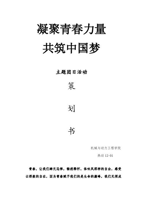 “凝聚青春力量,共筑中国梦”团日活动