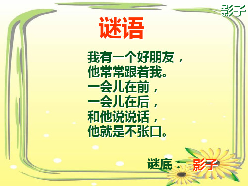 部编小学语文  《影子》 PPT