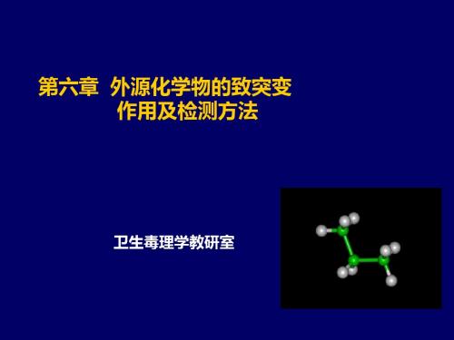 六章节外源化学物致突变作用及检测方法-精选文档