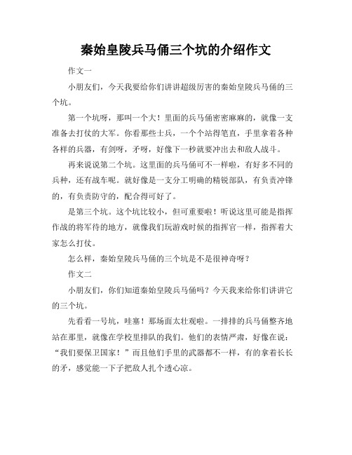 秦始皇陵兵马俑三个坑的介绍作文