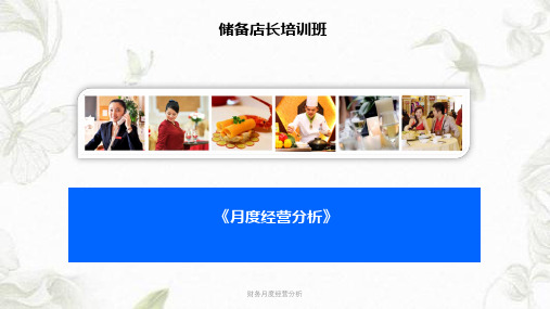 财务月度经营分析ppt课件