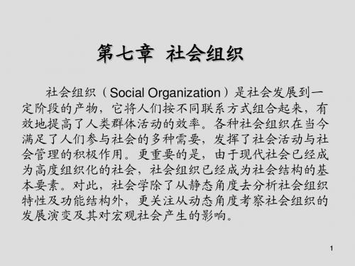 现代社会学第七章  社会组织