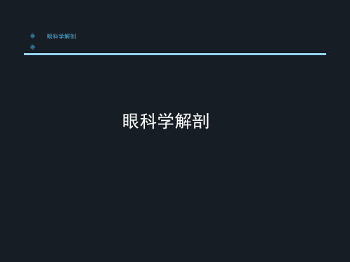 眼科学PPT课件 眼科学总论 眼科学解剖