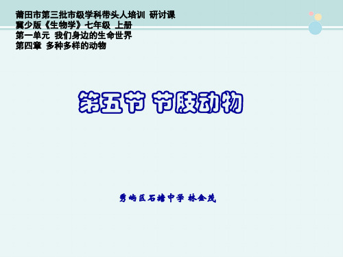 〖2021年整理〗《第五节 节肢动物》完整版教学课件PPT