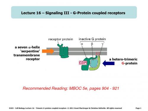 国外大学细胞生物学课件-英文 (6)资料