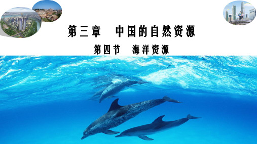 广东省河源市正德中学粤人版八年级地理上册课件：34海洋资源(共22张PPT)