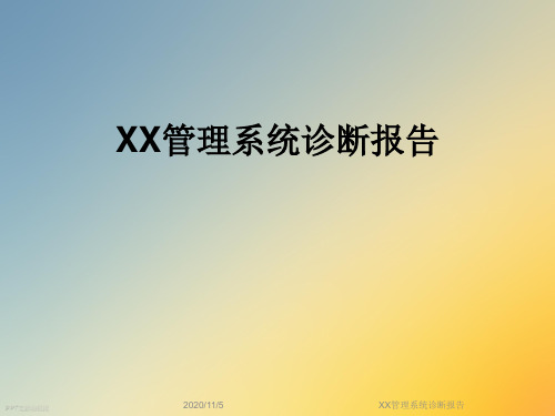 XX管理系统诊断报告