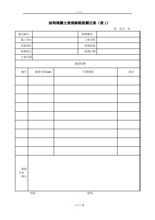 结构混凝土表观缺陷检测记录