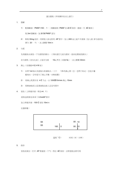 WB实验步骤详细情况总结