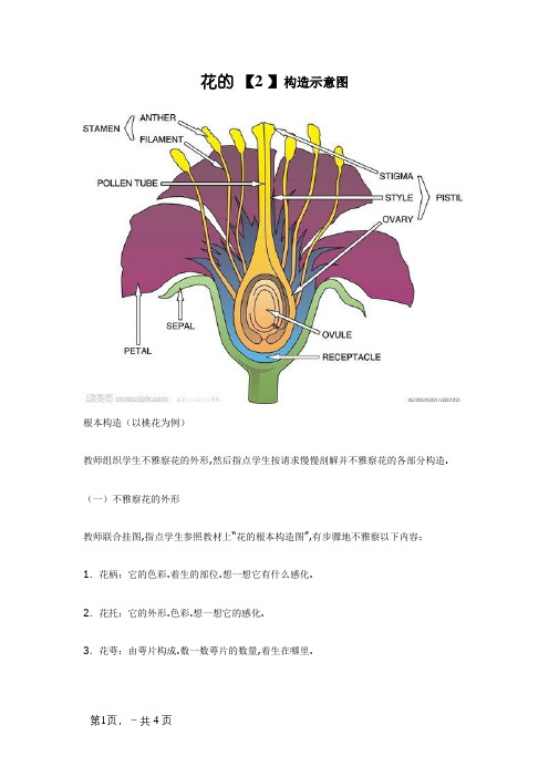 花的结构示意图