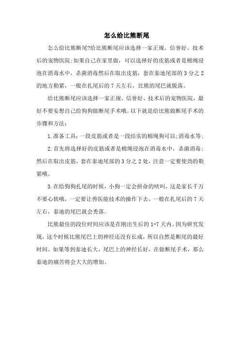 怎么给比熊断尾