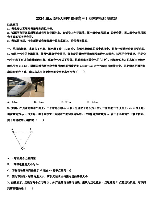 2024届云南师大附中物理高三上期末达标检测试题含解析