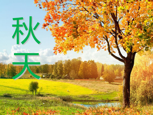 人教版七年级语文上册《秋天》PPT课件