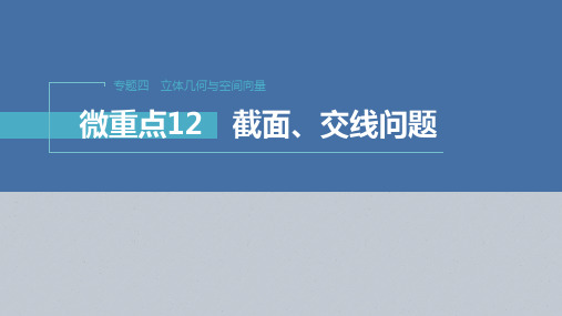 高考数学二轮复习重点题型截面交线问题