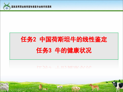 任务2中国荷斯坦牛的线性鉴定任务3牛的健康状况