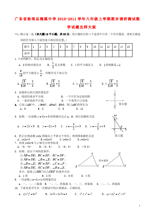 广东省徐闻县八年级数学上学期期末调研测试试题 北师大版