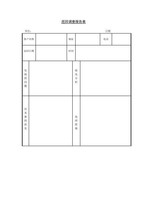 巡回调查报告表格式