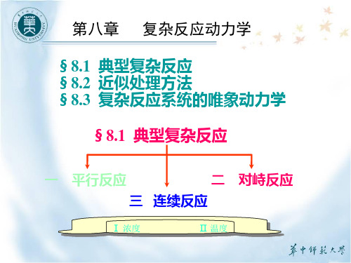 8. 1  典型复杂反应-对峙