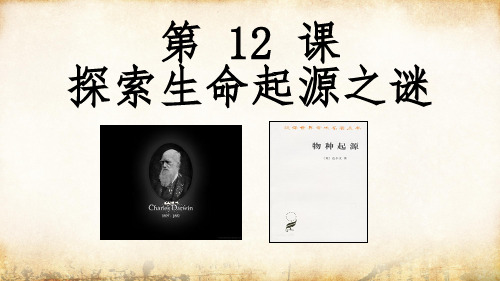 【人教版】 《12探索生命起源之谜》