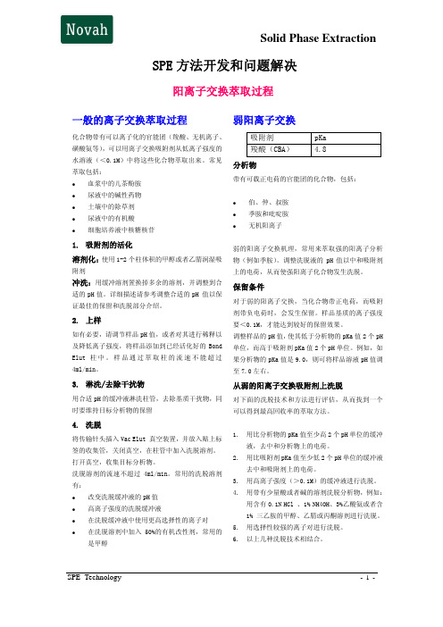 SPE 方法开发和问题解决