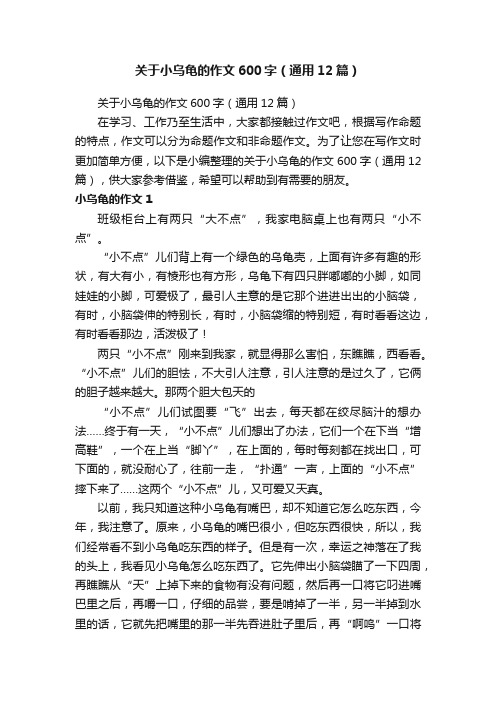 关于小乌龟的作文600字（通用12篇）