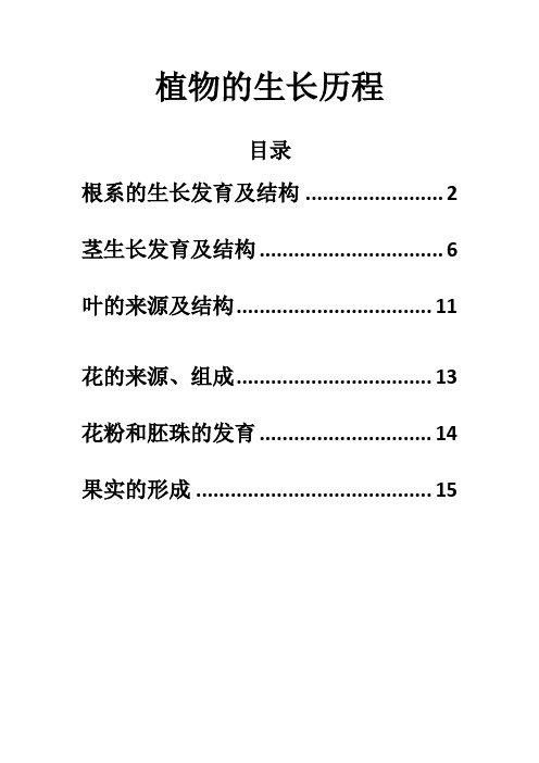 植物的生长历程