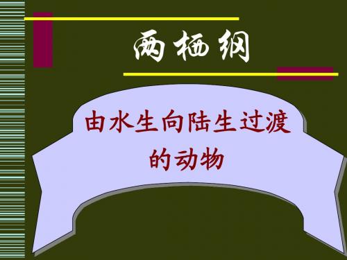 第十六章 两栖纲