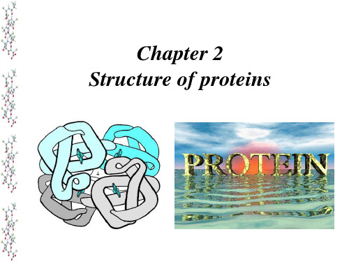 结构生物化学Chapter2 Structure of proteins