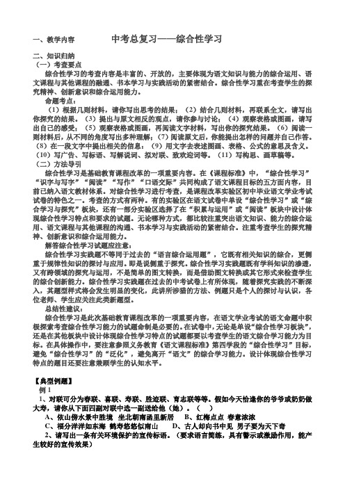 中考总复习综合性学习教案