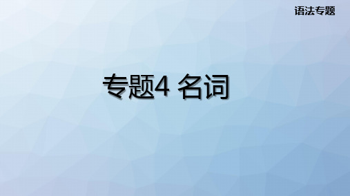 高三英语一轮复习语法专题课件3:专题4 名词