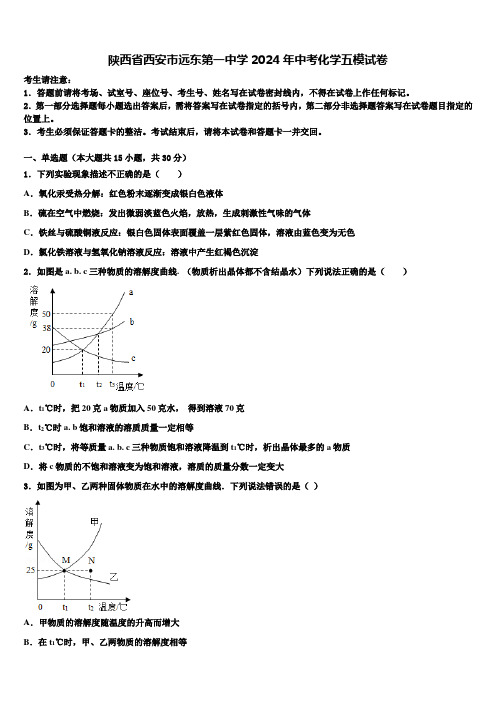 陕西省西安市远东第一中学2024届中考化学五模试卷含解析