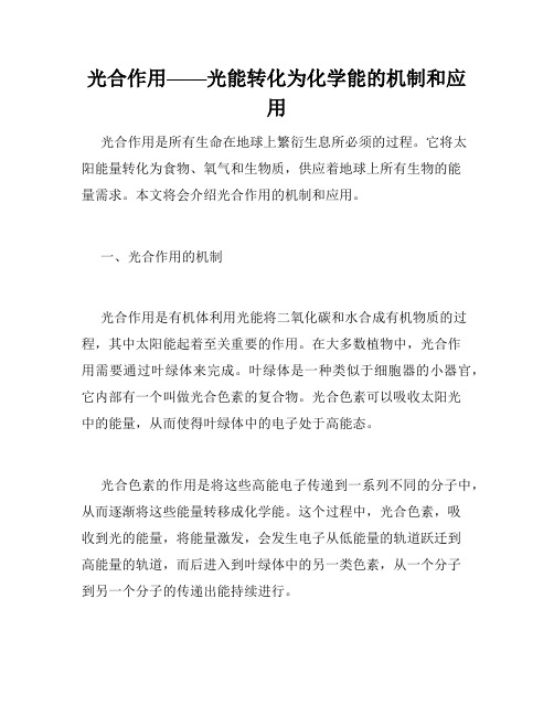 光合作用——光能转化为化学能的机制和应用