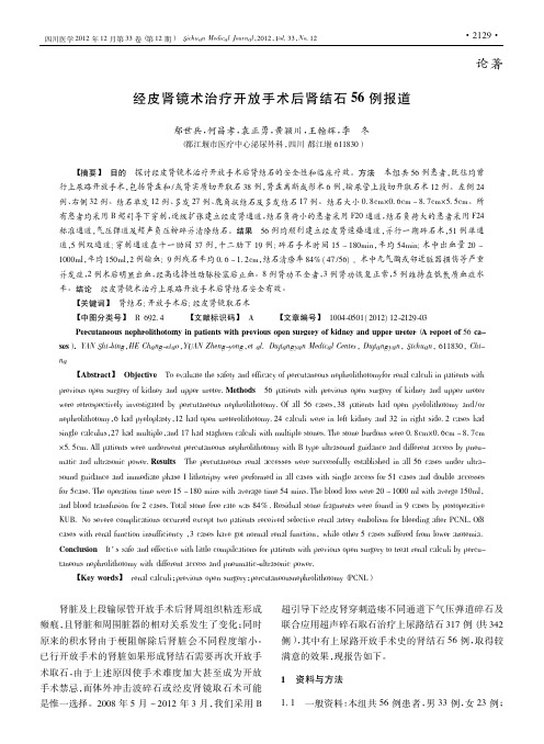 经皮肾镜术治疗开放手术后肾结石56例报道