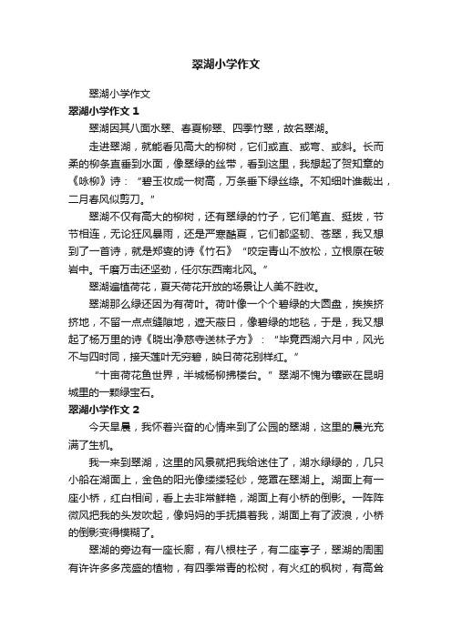 翠湖小学作文