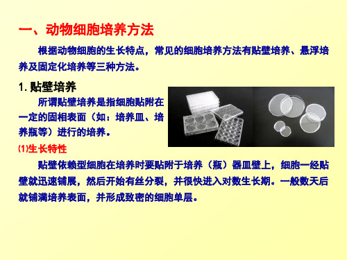 第二节细胞培养方法及应用实例