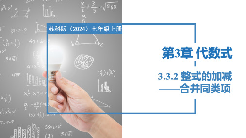 3.3.2整式的加减——合并同类项(课件)七年级数学上册(苏科版2024)