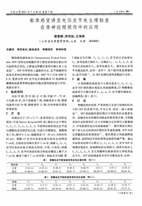 躯体感觉诱发电位皮节电生理检查在脊神经根损伤中的应用