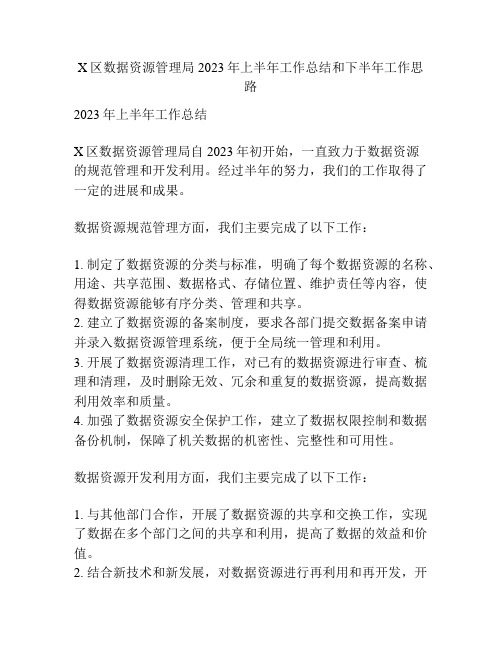 X区数据资源管理局2023年上半年工作总结和下半年工作思路