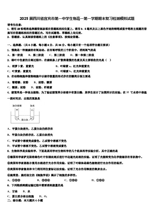 2025届四川省宜宾市第一中学生物高一第一学期期末复习检测模拟试题含解析