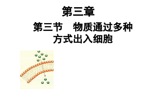 3.3物质通过多种方式出入细胞课件-2024-2025学年高一上学期生物浙科版必修1