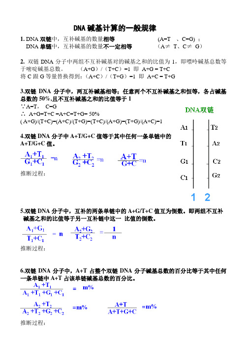 DNA碱基计算的一般规律