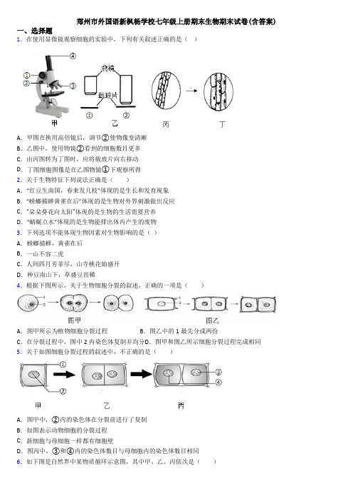 郑州市外国语新枫杨学校七年级上册期末生物期末试卷(含答案)