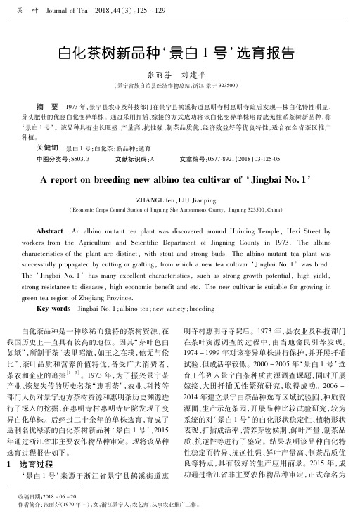 白化茶树新品种‘景白1号’选育报告