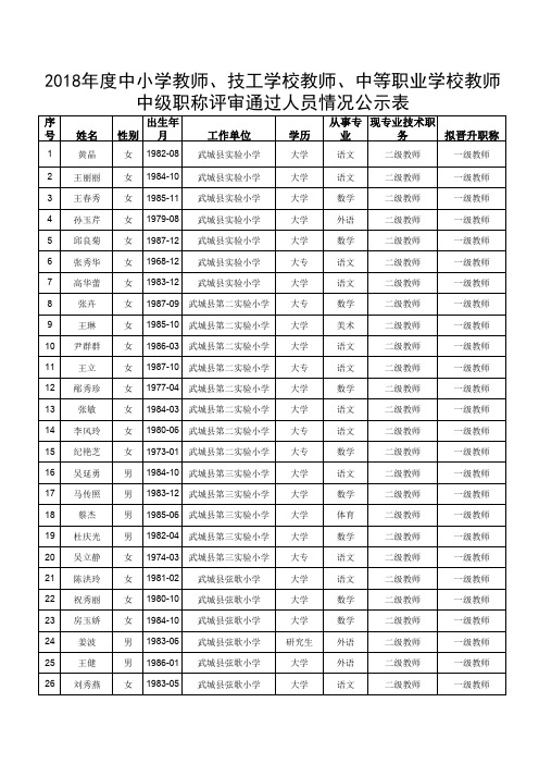 中级职称评审通过人员情况公示表